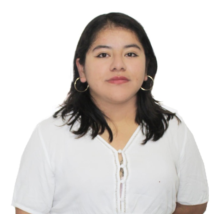 Brescia Sandoval Huamán, Asistente Contable en Sánchez y Asociados